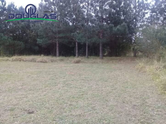 Imagem Casa à Venda, em Viamão Imagem Casa à Venda, em Viamão