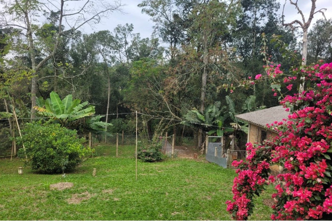 Imagem Chácara à Venda, 5.000 m² em Centro - Viamão Imagem Chácara à Venda, 5.000 m² em Centro - Viamão