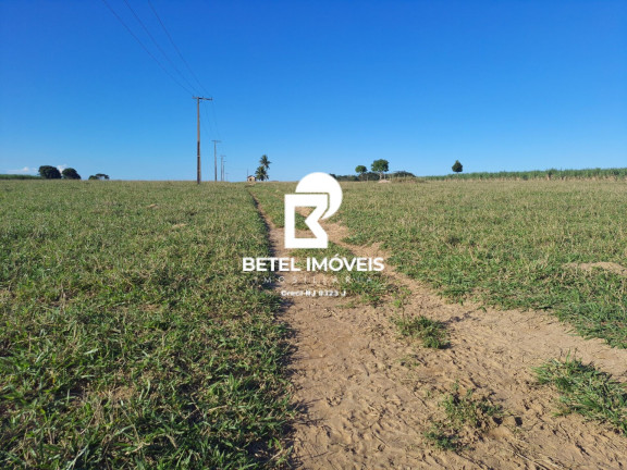Imagem Terreno à Venda, 2.000 m² em Bom Jardim - São Francisco De Itabapoana Imagem Terreno à Venda, 2.000 m² em Bom Jardim - São Francisco De Itabapoana