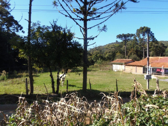 Imagem Terreno à Venda, 527 m² em Bateias - Campo Largo Imagem Terreno à Venda, 527 m² em Bateias - Campo Largo