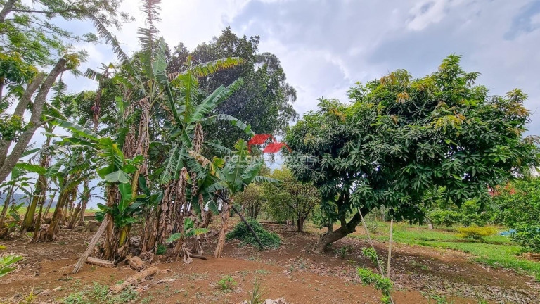 Imagem Chácara com 4 Quartos à Venda, 2.800 m² em Centro - Piracaia