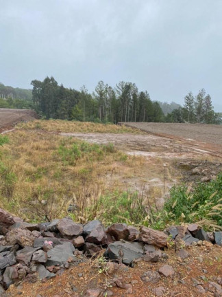 Imagem Terreno à Venda, 3.000 m² em Primavera - Concórdia Imagem Terreno à Venda, 3.000 m² em Primavera - Concórdia