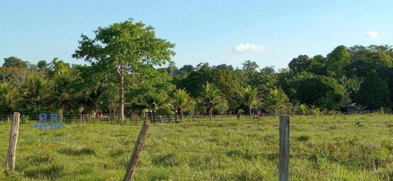 Imagem Fazenda à Venda, 2.190.000 m² em Alça Viaria - Acará Imagem Fazenda à Venda, 2.190.000 m² em Alça Viaria - Acará