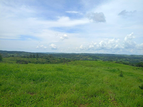 Imagem Fazenda à Venda, 63 m² em Zona Rural - Abadiânia