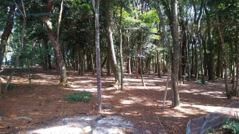 Imagem Imóvel com 3 Quartos à Venda, 210 m² em Rio Abaixo - Atibaia Imagem Imóvel com 3 Quartos à Venda, 210 m² em Rio Abaixo - Atibaia