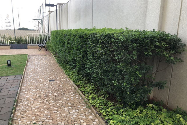 Imagem Apartamento com 3 Quartos à Venda, 63 m² em Vila Santa Clara - São Paulo