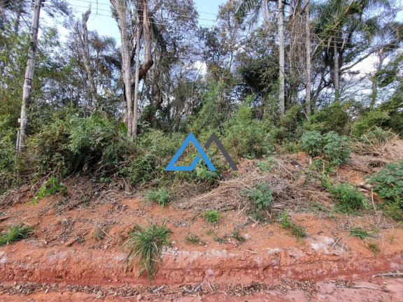 Imagem Terreno à Venda, 1.000 m² em Jundiaizinho (terra Preta) - Mairiporã Imagem Terreno à Venda, 1.000 m² em Jundiaizinho (terra Preta) - Mairiporã