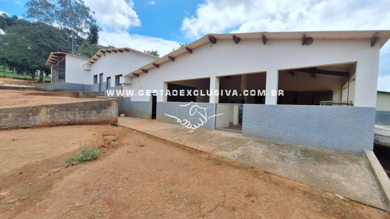 Imagem Chácara com 3 Quartos à Venda, 48.000 m² em Sítios Primavera - Jarinu
