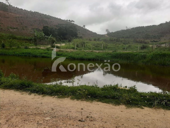 Imagem Fazenda à Venda, 90 m² em Itapeva - Paraibuna Imagem Fazenda à Venda, 90 m² em Itapeva - Paraibuna