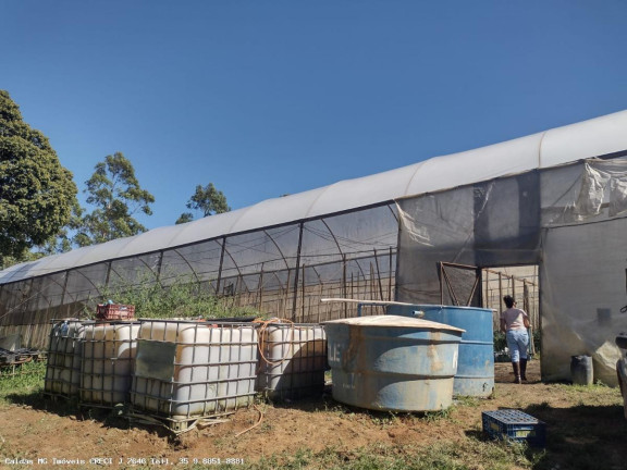 Imagem Chácara com 8 Quartos à Venda, 21.000 m² em Zona Rural - Caldas Imagem Chácara com 8 Quartos à Venda, 21.000 m² em Zona Rural - Caldas