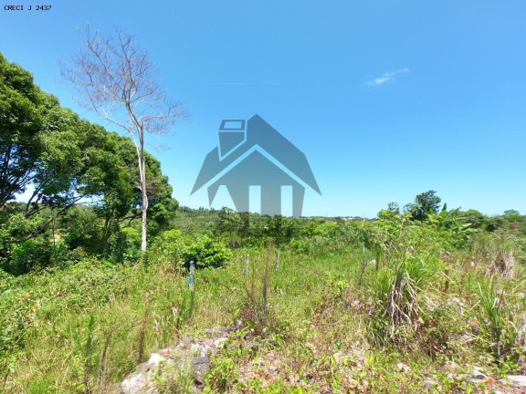 Imagem Terreno à Venda, 12.000 m² em Ceasa - Salvador