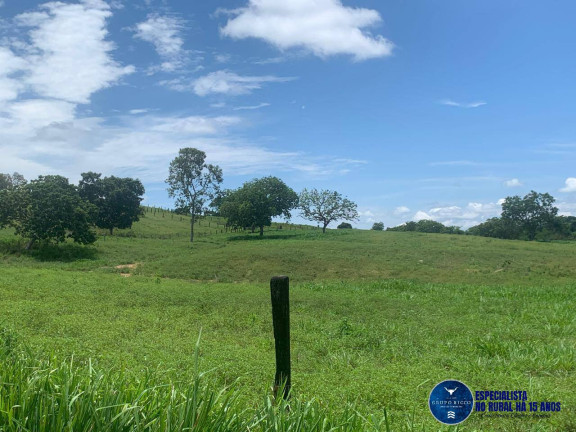 Imagem Fazenda à Venda, 375 m² em Zona Rural - Estrela Do Norte Imagem Fazenda à Venda, 375 m² em Zona Rural - Estrela Do Norte
