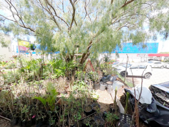 Imagem Terreno à Venda, 381 m² em Centro - Guarapuava Imagem Terreno à Venda, 381 m² em Centro - Guarapuava