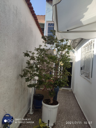 Imagem Casa com 3 Quartos à Venda, 250 m² em Vila Matilde - São Paulo