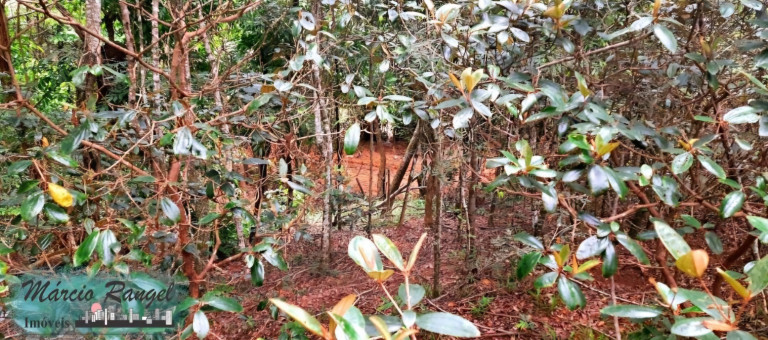 Imagem Imóvel à Venda, 8.650 m² em Caxeta - Campos Dos Goytacazes Imagem Imóvel à Venda, 8.650 m² em Caxeta - Campos Dos Goytacazes