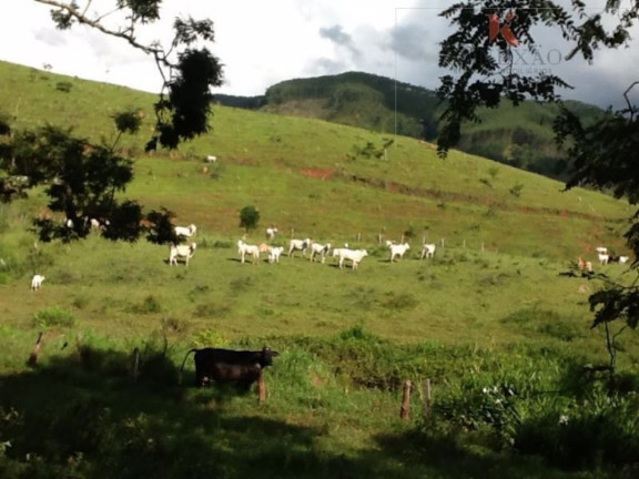 Imagem Fazenda à Venda, 100 m² em Santa Joana - Santa Branca Imagem Fazenda à Venda, 100 m² em Santa Joana - Santa Branca