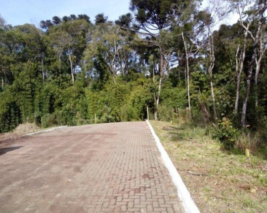 Imagem Imóvel à Venda, 821 m² em Vila Germânia - Nova Petrópolis Imagem Imóvel à Venda, 821 m² em Vila Germânia - Nova Petrópolis