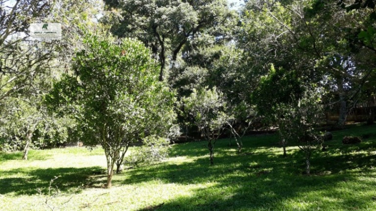 Chácara à Venda, 2.000 m² em Alto Da Serra - São Roque