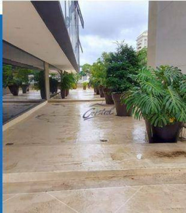 Imagem Imóvel para Alugar, 527 m² em Jardim Europa - São Paulo Imagem Imóvel para Alugar, 527 m² em Jardim Europa - São Paulo