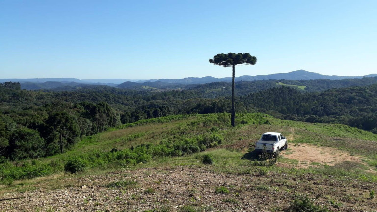 Imagem Chácara com 3 Quartos à Venda, 129 m² em Centro - Campo Largo Imagem Chácara com 3 Quartos à Venda, 129 m² em Centro - Campo Largo