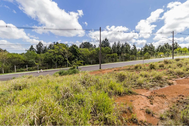 Imagem Terreno à Venda, 126 m² em Lomba Do Pinheiro - Porto Alegre Imagem Terreno à Venda, 126 m² em Lomba Do Pinheiro - Porto Alegre