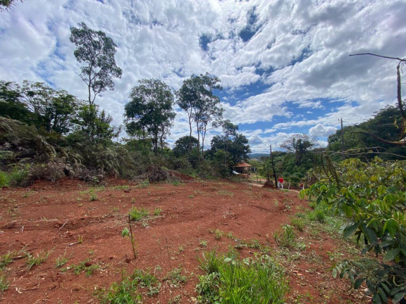 Imagem Terreno à Venda, 2 m² em Santa Terezinha De Minas - Itatiaiuçu Imagem Terreno à Venda, 2 m² em Santa Terezinha De Minas - Itatiaiuçu