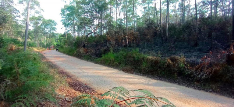 Imagem Imóvel à Venda, 266.200 m² em Pedra Vermelha (terra Preta) - Mairiporã Imagem Imóvel à Venda, 266.200 m² em Pedra Vermelha (terra Preta) - Mairiporã