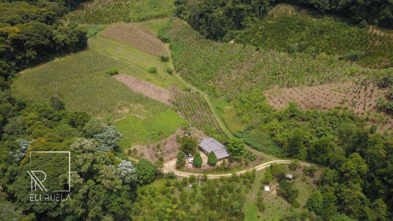 Imagem Chácara com 3 Quartos à Venda, 30.000 m² em Boa Esperança - Marechal Floriano Imagem Chácara com 3 Quartos à Venda, 30.000 m² em Boa Esperança - Marechal Floriano