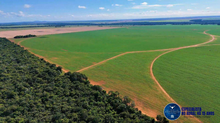 Imagem Fazenda à Venda, 343 m² em Zona Rural - Montes Claros De Goiás Imagem Fazenda à Venda, 343 m² em Zona Rural - Montes Claros De Goiás