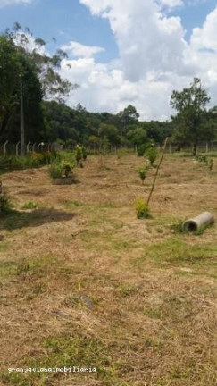Imagem Chácara à Venda, 3.007 m² em Consultar - Ibiúna Imagem Chácara à Venda, 3.007 m² em Consultar - Ibiúna