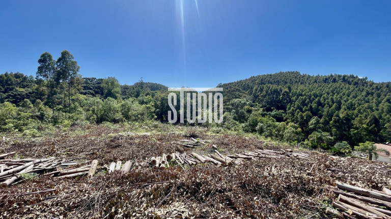 Imagem Terreno à Venda, 11.990 m² em Operário - Barão Imagem Terreno à Venda, 11.990 m² em Operário - Barão