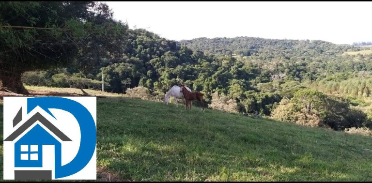 Imagem Chácara com 2 Quartos à Venda, 7 m² em Rural - Itapetininga Imagem Chácara com 2 Quartos à Venda, 7 m² em Rural - Itapetininga