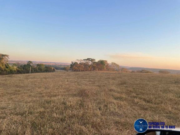 Imagem Fazenda à Venda, 29 m² em Zona Rural - Itaberaí Imagem Fazenda à Venda, 29 m² em Zona Rural - Itaberaí