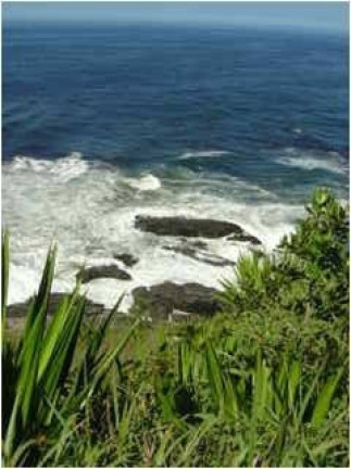 Imagem Terreno à Venda, 2.555 m² em Ponta Negra - Maricá