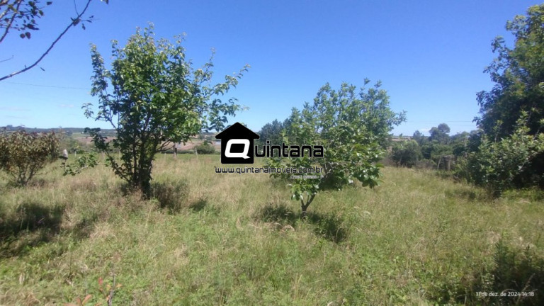 Imagem Imóvel com 2 Quartos à Venda, 50.000 m² em Capela Da Buena - Morro Redondo Imagem Imóvel com 2 Quartos à Venda, 50.000 m² em Capela Da Buena - Morro Redondo