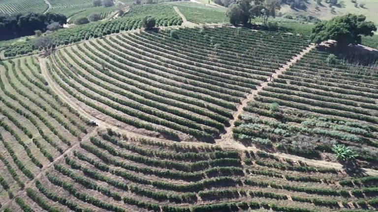 Imagem Fazenda à Venda, 31 m² em Poços De Caldas Imagem Fazenda à Venda, 31 m² em Poços De Caldas
