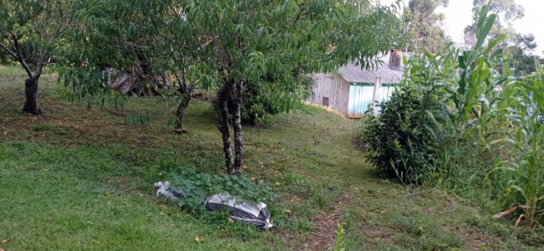 Imagem Chácara com 2 Quartos à Venda, 5.445 m² em Centro - Agudos Do Sul Imagem Chácara com 2 Quartos à Venda, 5.445 m² em Centro - Agudos Do Sul