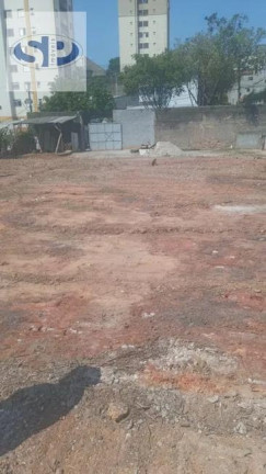 Imagem Terreno para Alugar, 1.500 m² em Vila Santa Catarina - São Paulo Imagem Terreno para Alugar, 1.500 m² em Vila Santa Catarina - São Paulo