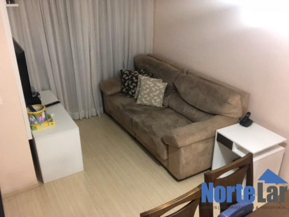 Imagem Apartamento com 2 Quartos à Venda, 50 m² em Vila Carolina - São Paulo Imagem Apartamento com 2 Quartos à Venda, 50 m² em Vila Carolina - São Paulo