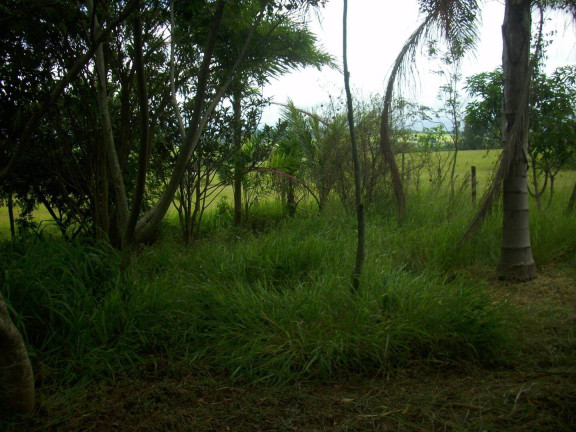 Imagem Chácara com 1 Quarto à Venda, 1.000 m² em Estância Irene - Porangaba Imagem Chácara com 1 Quarto à Venda, 1.000 m² em Estância Irene - Porangaba