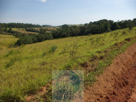 Imagem Imóvel com 3 Quartos à Venda, 302.500 m² em Zona Rural - Jacui