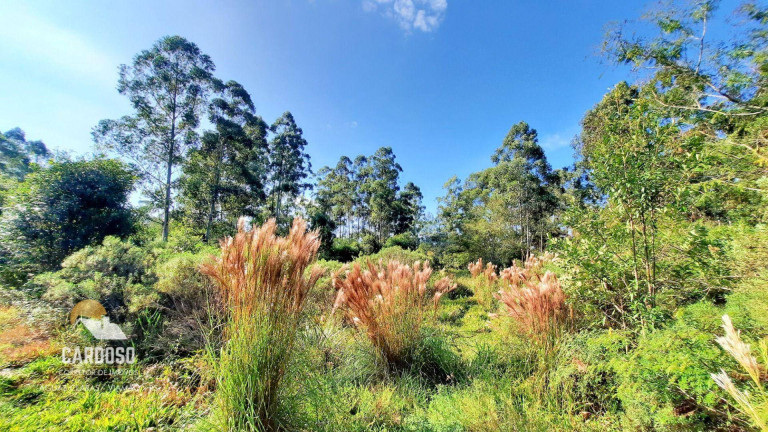 Imagem Fazenda à Venda, 100.000 m² em águas Claras - Viamão Imagem Fazenda à Venda, 100.000 m² em águas Claras - Viamão