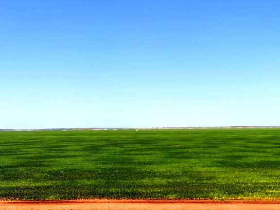 Imagem Fazenda à Venda, 8.000 m² em Cuiabá Imagem Fazenda à Venda, 8.000 m² em Cuiabá