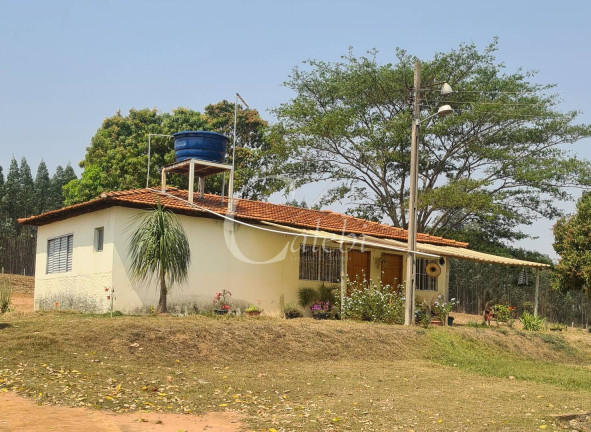 Imagem Chácara com 3 Quartos à Venda, 10 m² em área Rural De Mogi Mirim - Moji Mirim Imagem Chácara com 3 Quartos à Venda, 10 m² em área Rural De Mogi Mirim - Moji Mirim