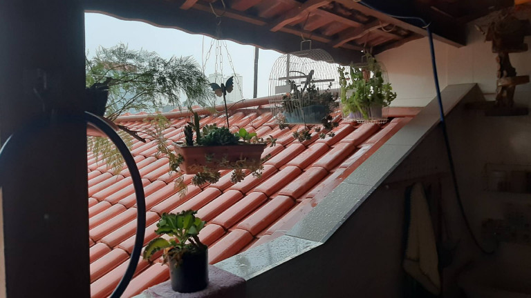 Imagem Casa com 3 Quartos à Venda, 160 m² em Vila Prudente - São Paulo