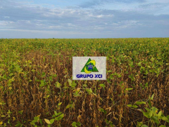 Imagem Fazenda à Venda, 3.388.000 m² em Zona Rural - Ponte Alta Do Tocantins Imagem Fazenda à Venda, 3.388.000 m² em Zona Rural - Ponte Alta Do Tocantins