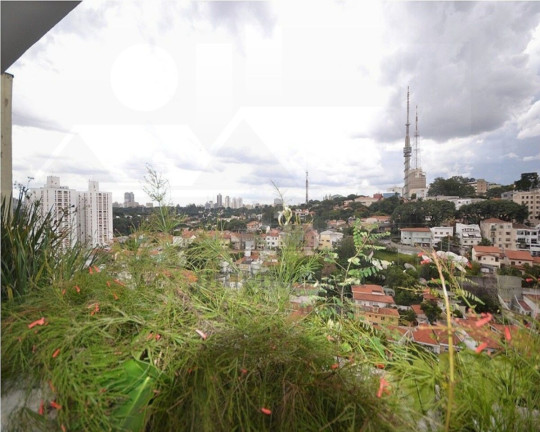 Imagem Apartamento com 4 Quartos à Venda, 308 m² em Sumaré - São Paulo Imagem Apartamento com 4 Quartos à Venda, 308 m² em Sumaré - São Paulo