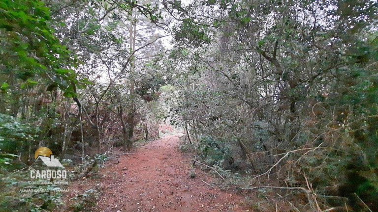 Imagem Fazenda à Venda, 46.000 m² em águas Claras - Viamão Imagem Fazenda à Venda, 46.000 m² em águas Claras - Viamão