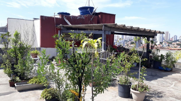 Imagem Apartamento com 2 Quartos à Venda, 105 m² em Vila Romana - São Paulo Imagem Apartamento com 2 Quartos à Venda, 105 m² em Vila Romana - São Paulo