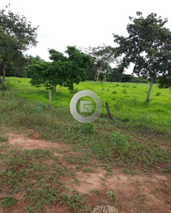 Imagem Imóvel com 5 Quartos à Venda, 100 m² em Nova Esperança - Montes Claros Imagem Imóvel com 5 Quartos à Venda, 100 m² em Nova Esperança - Montes Claros